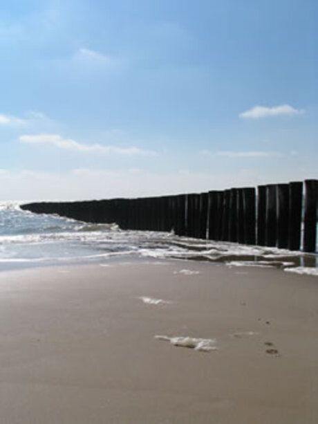 Strand westerschouwen