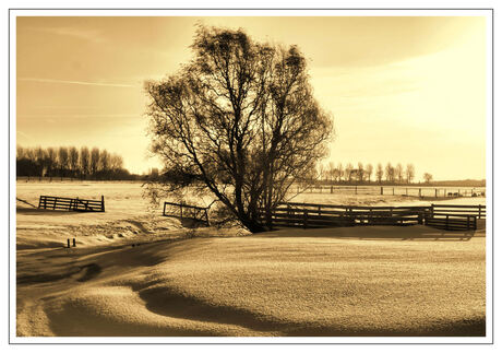 Zoeterwoude/Westeinde