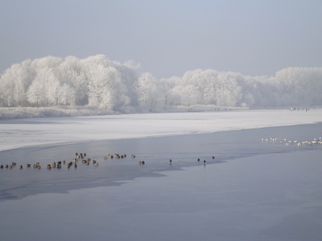 Winter in Zeeland