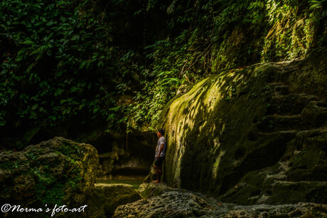 vlakbij de waterval