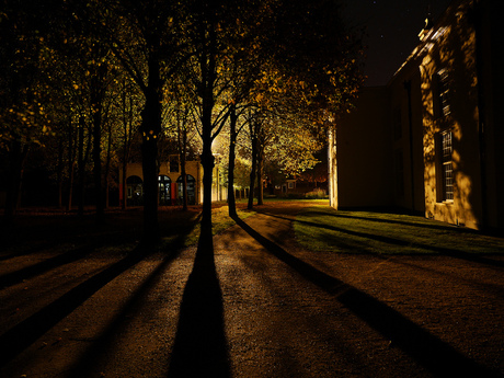 Schaduwen in de nacht