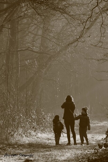 Een wandeling in het bos