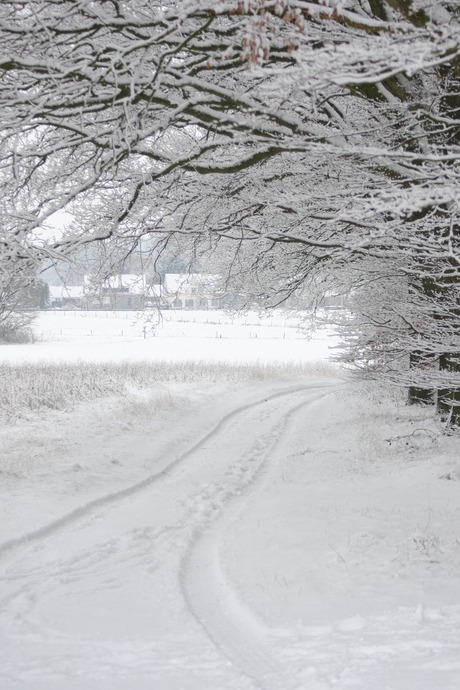 de witte wereld