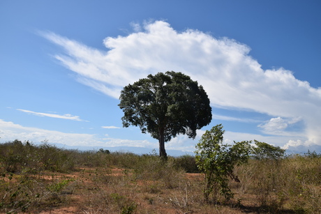 Natuurpark Sri Lanka
