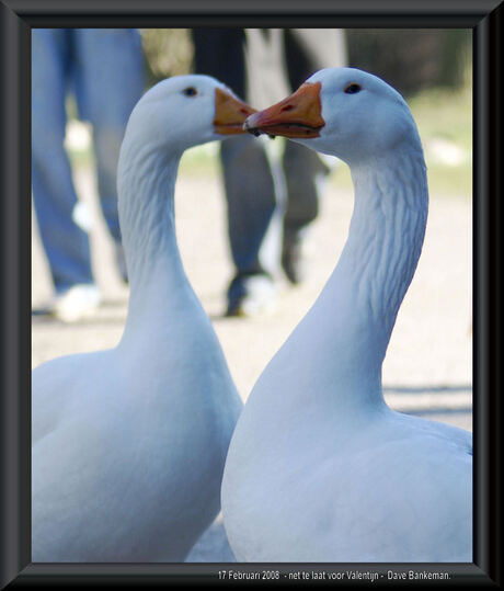 Te Laat voor Valentijnsdag