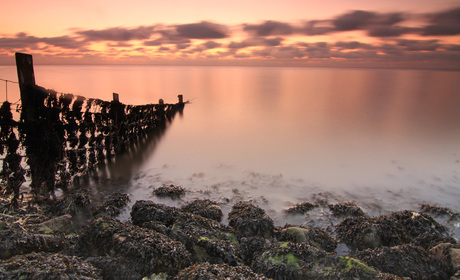 Waddenzee