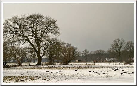 Maartse Sneeuw over het Land