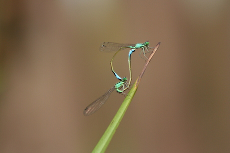 Let's talk about sex baby!