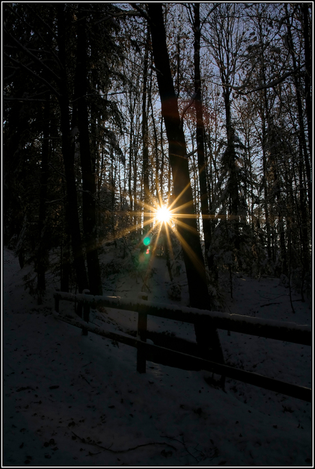 wandeling uetliberg