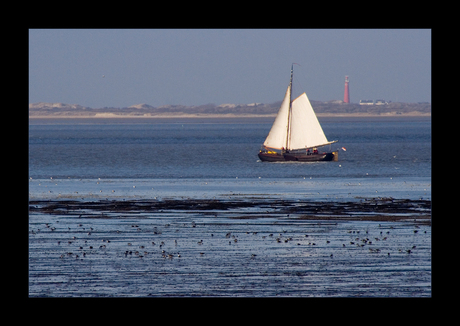 Schiermonnikoog