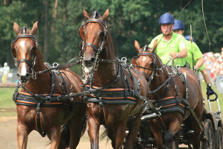 Vierspan Beekbergen