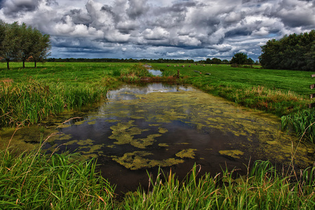 POLDER