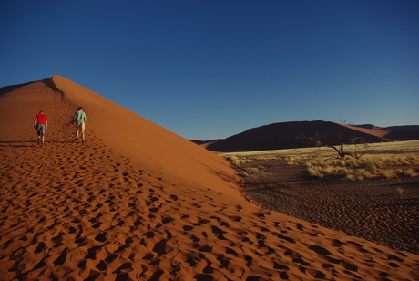 Dune 45 Namibië