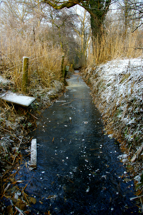 winter in nederland