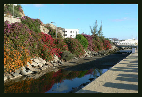 Bloemenzee