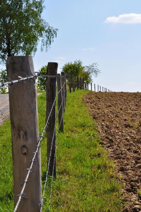 landschap