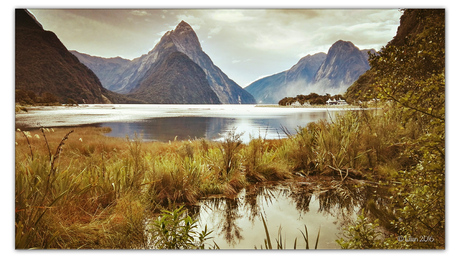 MILFORD SOUND