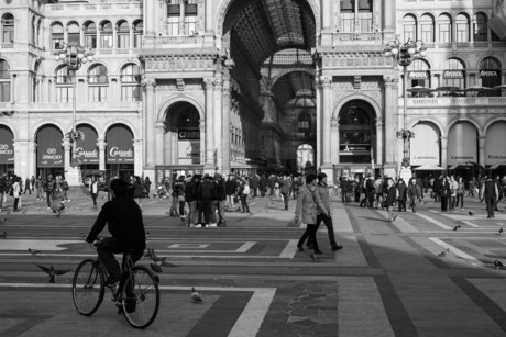 Il Duomo Square