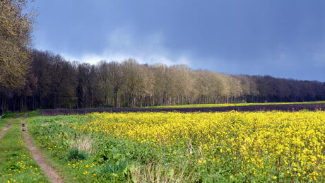 Schokland tussen zon en regen