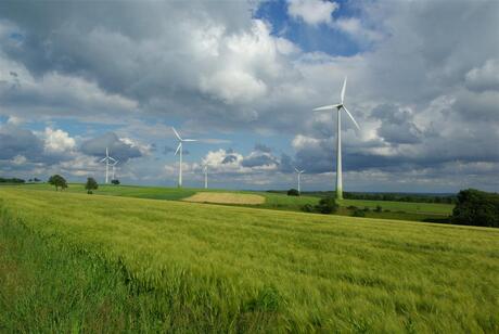 windenergie in het groen