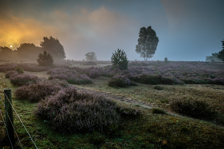 20170806-IMGL8469-HDR Ben Fienieg