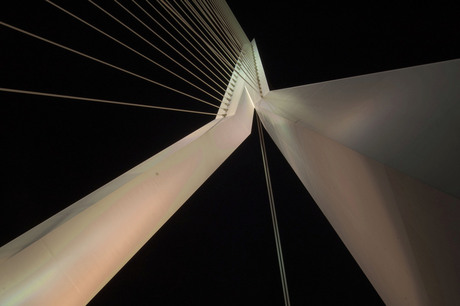 Erasmusbrug by night