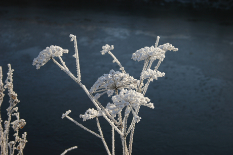 Winterplaatje