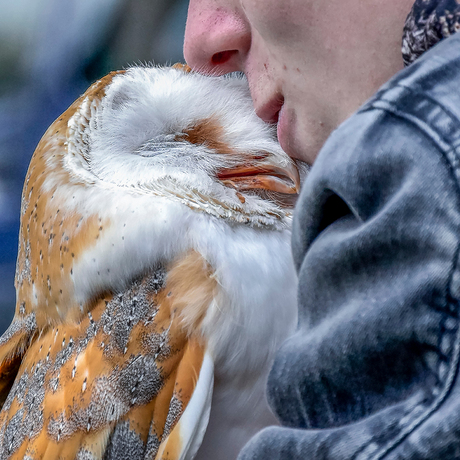 Liefde op het eerste gezicht