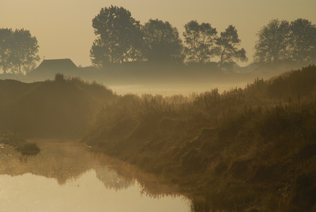 misty morning