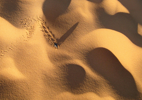 zoekende in de woestijn