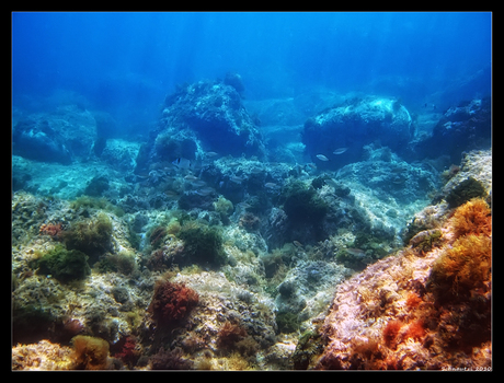 Onderwaterlandschap