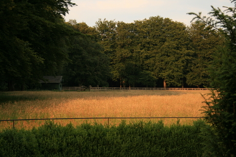 avondzon op landgoed Gooilust