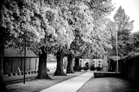 Wandelplekje bij uitstek