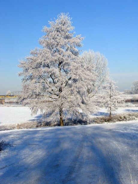 Winter in Ravenstein