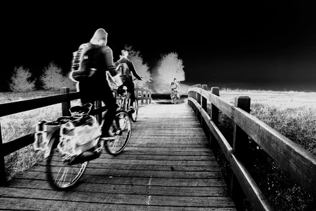 berlaar,brugkok,nethe,fietsters,mist 01.jpg