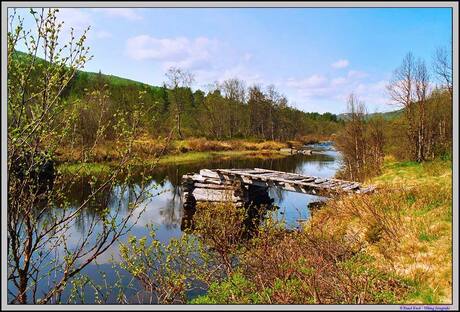 Vatnedalen