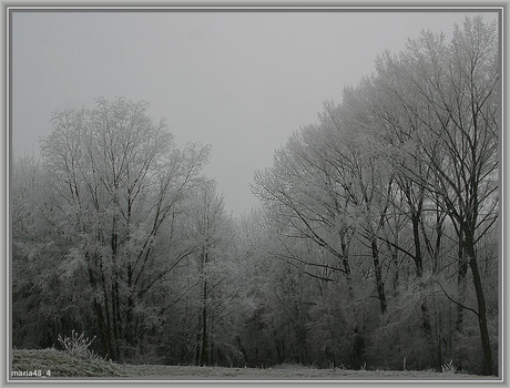 Sneeuw en mist