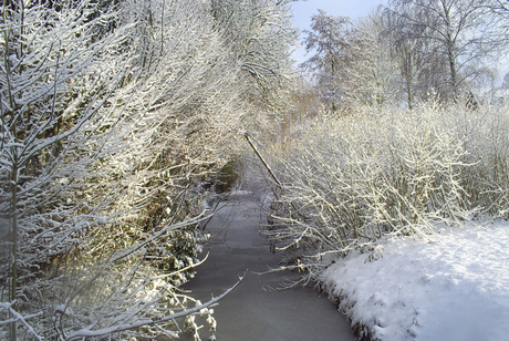 Een beekje in Ijssestein