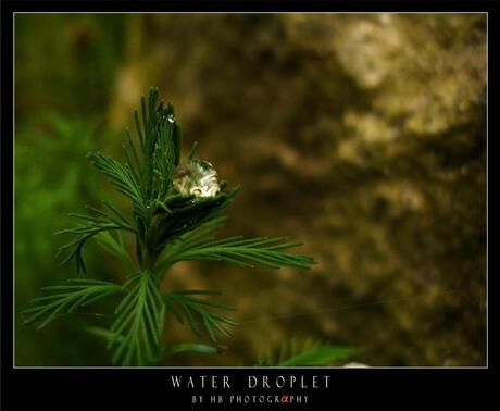 HB Water Droplet
