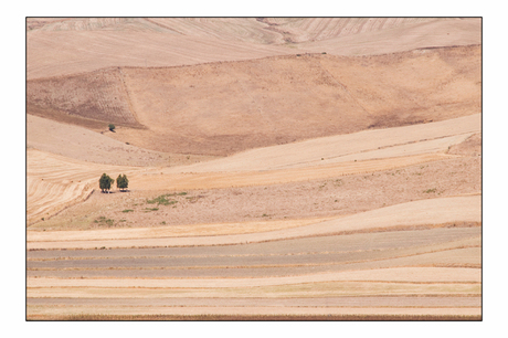 Andalusië