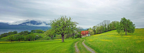 PANORAMAFOTO: LENTE AAN HET VIERWOUDSTEDENMEER