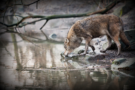 Time for reflection