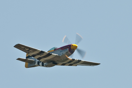 P51 in volle vlucht