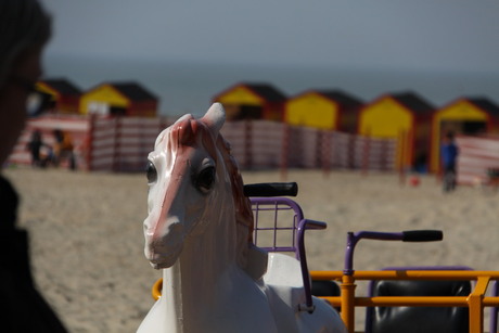 paard aan zee