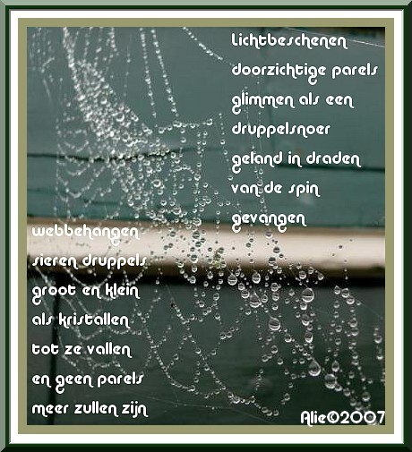 Webbehangen...