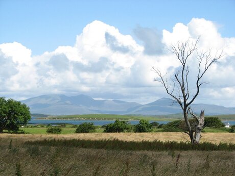 Wind in Connemara