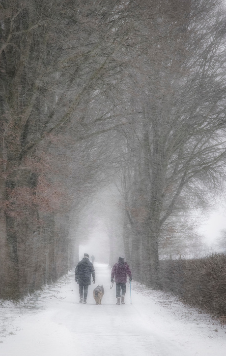 Walking in a Winter Wonderland