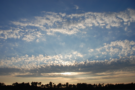 Strabrechtse Heide - Heeze