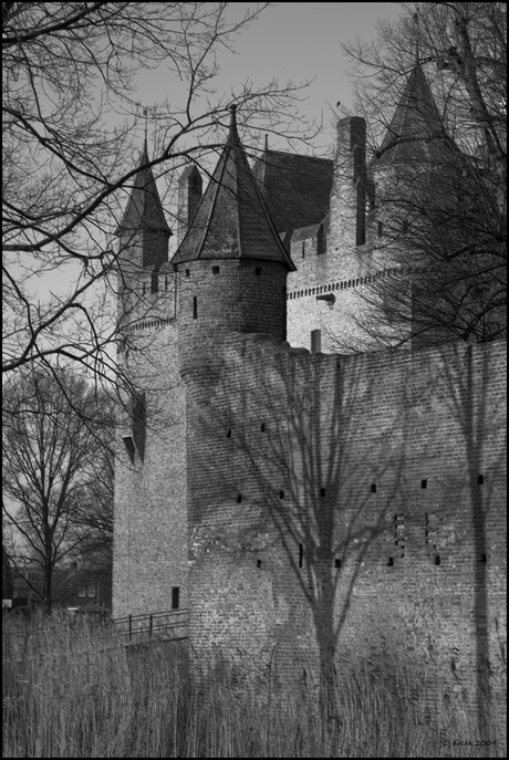 Kasteel de Doornenburg