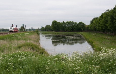 Landschap tussen Waterhuizen en Groningen.